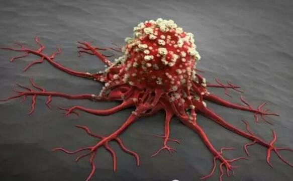 芬苯達唑可以治療癌癥?獸藥抗癌難辨療效的求生路
