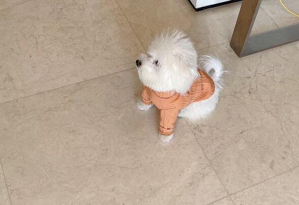 �����������Q���^�m���ݾ�������,�����������ﺆ��
