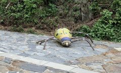 Ů�ӽ��|ù׃���׺�β��L�M���,�¾���������|�ַQ��ʲô