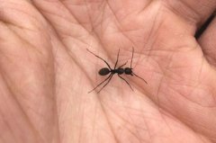 Λρ���씳��ʲô��������������ʲô��ĸ