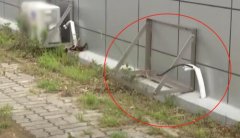 �n�����ՆT͵�������{����ĸ,�������b���{ע�����