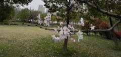�茑�һ���Ԋ(sh��)��,�P(gu��n)���һ��������Ԋ(sh��)��