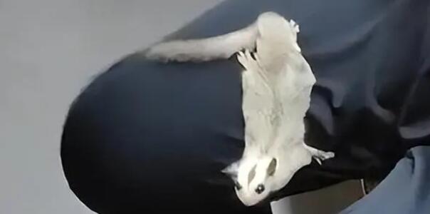���F���F(xi��n)������ς��˿�