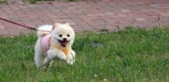 �ݵǐ�Ȯ˾��ҧ��ʮ����,�ݵǌ���Ȯָ�]�ٱ�����׌m